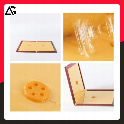 60x PUŁAPKA NA MYSZY SZCZURY MYSZOŁAPKA SILNY KLEJ MOCNA ŁAPKA LEP na Arena.pl