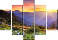 product-compare-58696531