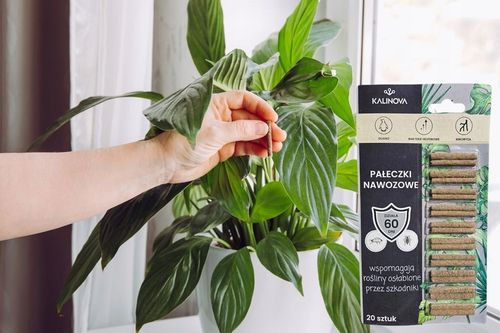 Pałeczki Nawozowe na Szkodniki Ziemiórki Przędziorki Tarczniki 100 na Arena.pl