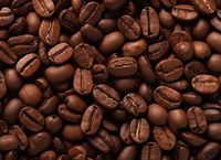 Plakat 55x40cm Esencja Aromatu