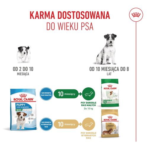 royal canin mini puppy 4kg na Arena.pl