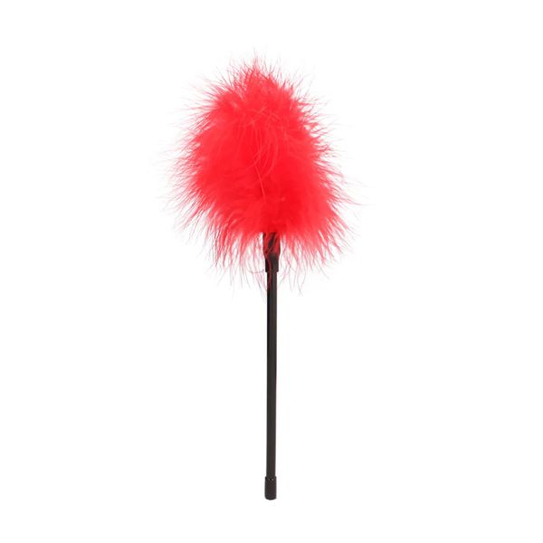 Feather zdjęcie 1