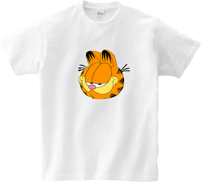Koszulka T-shirt Garfield zdjęcie 1