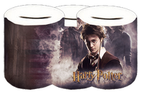 Skarbonka Harry Potter