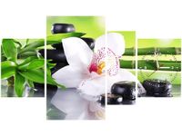 product-compare-58701162