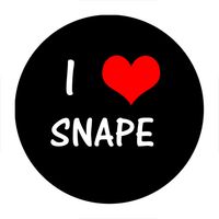 Przypinka Harry Potter