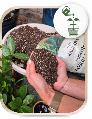 Podłoże Bigos Lekka Ziemia do kwiatów roślin zielonych 8L Mieszanka na Arena.pl