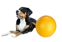 KERBL GIGANT Duża mocna twarda piłka wytrzymała zabawka dla psa 30 cm