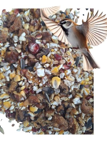 Pokarm dla ptaków dzikich orzechowy karmnik słonecznik 10kg GRATIS KULA na Arena.pl