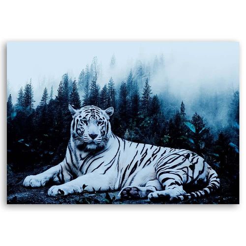Obraz na płótnie – Canvas, Biały tygrys las 60x40 na Arena.pl