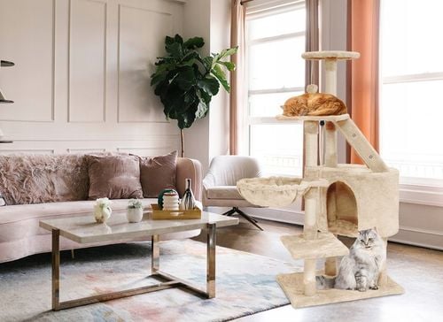 DRAPAK DLA KOTA WIEŻA LEGOWISKO DOMEK Z ZABAWKAMI BEŻOWY DUŻY XXL 120 cm na Arena.pl