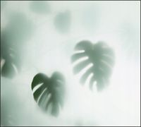 Tło do fotografii produktowej kulinarnej Flat Lay