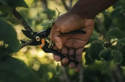 Sekator nożycowy ogrodowy ostry SOLID P131 FISKARS na Arena.pl