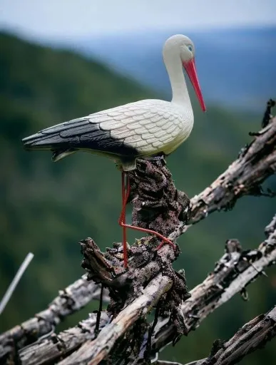BOCIAN OGRODOWY STOJĄCY FIGURKA DO OGRODU PTAK WBIJANY DUŻY zdjęcie 5