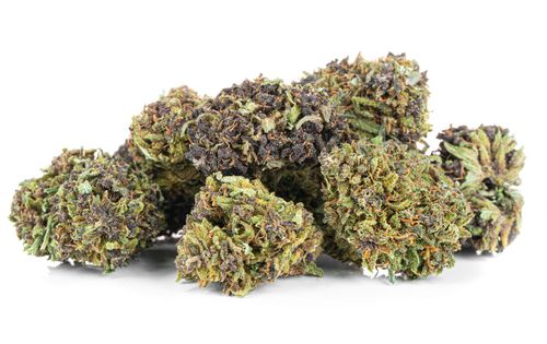 Susz konopny CBD Czarna Pantera SUPER AMSTERDAM 1g na Arena.pl