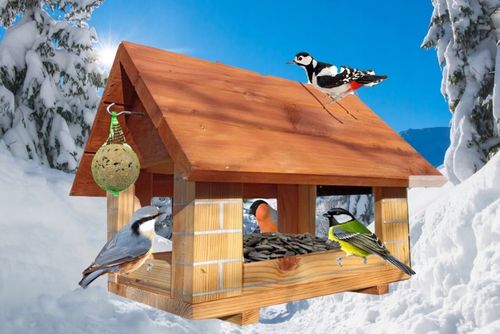 Karmnik Dla Ptaków ozdobaMocny STOJĄCY DREWNIANY WISZĄCY wystąrczająco na Arena.pl