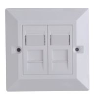 Lanview CAT6 Faceplate Dual Gang UK