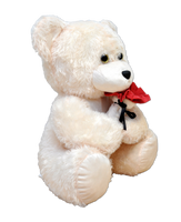 MASKOTKA PLUSZOWA MIŚ PREZENT NA WALENTYNKI URODZINY DZIEŃ KOBIET DLA MAMY