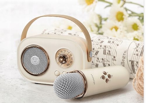 MIKROFON BEZPRZEWODOWY KARAOKE GŁOŚNIK BLUETOOTH RETRO DLA DZIECI PREZENT na Arena.pl