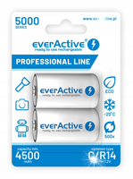 2X AKUMULATORKI BATERIE NI-MH EVERACTIVE C R14 HR14 LR14 5000MAH POJEMNE