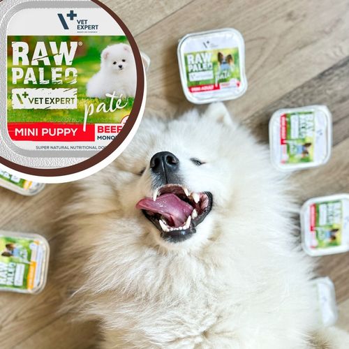 Mokra karma dla szczeniąt małych ras wołowina Raw Paleo Pate 12 x 150g na Arena.pl