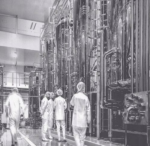 KOGEN | Oligo-Elite | odchudzanie POLIFENOLE | 30 kaps. x3 | trzy (3) PACK na Arena.pl