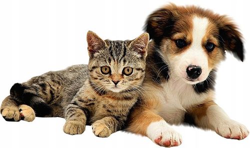 Pasta odkłaczająca GIMPET MALT SOFT EXTRA 200g na Arena.pl