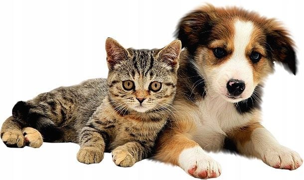 Pasta odkłaczająca GIMPET MALT SOFT EXTRA 200g zdjęcie 2