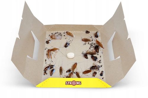 PUŁAPKA LEP NA KARALUCHY I PRUSAKI KARALEP STRONG Z SILNYM WABIKIEM 5 na Arena.pl