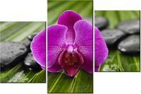 product-compare-58699501