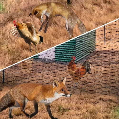 OCHRONNA SIATKA NA PTAKI GOŁĘBIE 10X10M MOCNA PRZECIW PTAKOM SZPAKOM na Arena.pl