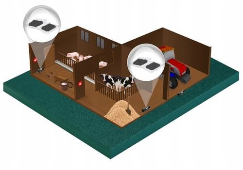 NAJSILNIEJSZA TRUTKA NA SZCZURY MYSZY GRYZONIE CZARNA PASTA NO PEST na Arena.pl