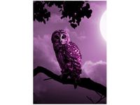 50X70CM NOCNY PEJZAŻ SOWĄ OBRAZ PION ŚCIAN