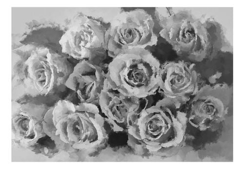 Fototapeta - A dozen roses 200x154 na Arena.pl