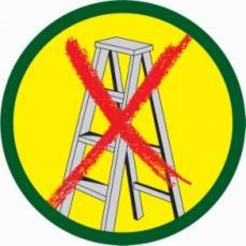 Nożyce ręczne SEKATOR DO DRZEW RC-VM Wolf Garten 29,5 cm na Arena.pl