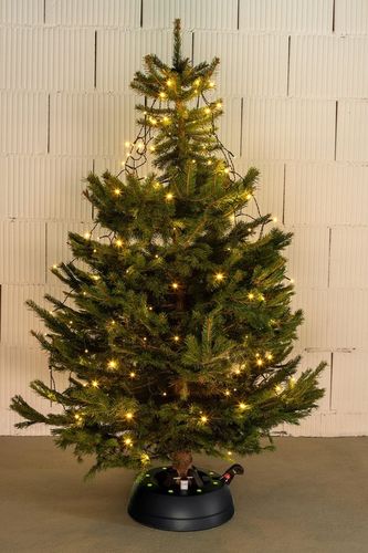 STOJAK CHOINKOWY KAMAI START 2 PRO NATURE do 2,5M na Arena.pl