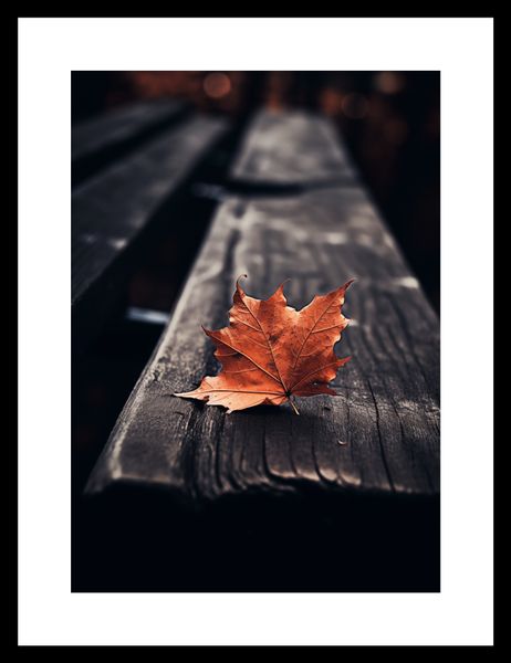 Plakat 21x29,7cm Pojedynczy Liść zdjęcie 3