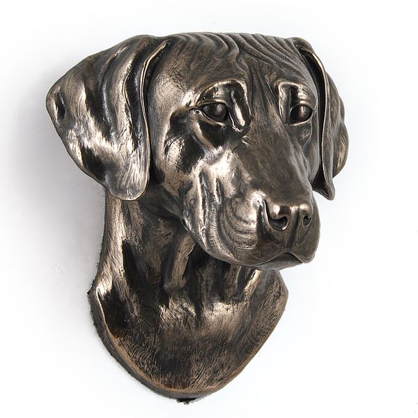 Rhodesian Ridgeback głowa wisząca Art-Dog zdjęcie 4