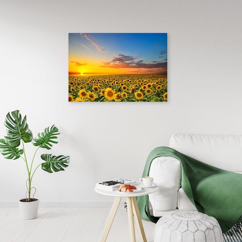 Obraz na płótnie – Canvas, Łąka słoneczników 60x40 na Arena.pl