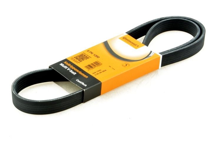 PASEK WIELOROWKOWY zdjęcie 10