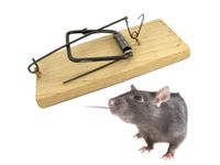 product-compare-54390250