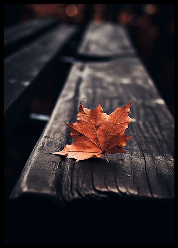 Plakat 42x59,4cm Pojedynczy Liść na Arena.pl