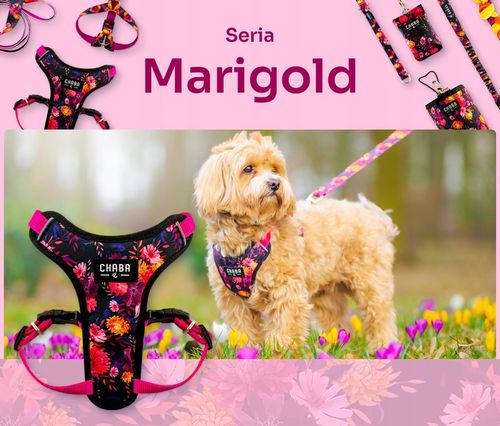 Szelki spacerowe Comfort Guard dla małego psa - Chaba Marigold rozmiar M na Arena.pl