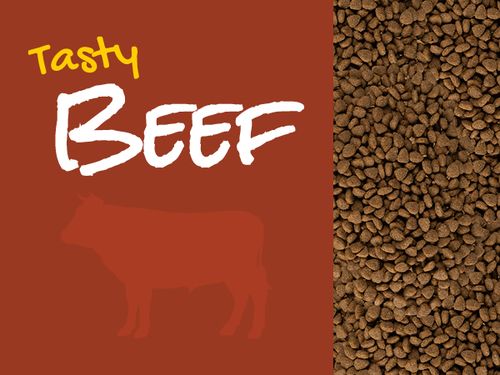 josicat josera tasty beef 10kg na Arena.pl