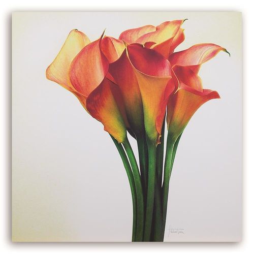 Deco Panel, Kwiaty 60x60 na Arena.pl