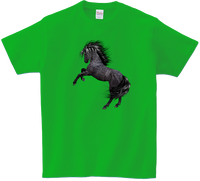 Koszulka T-shirt Konie