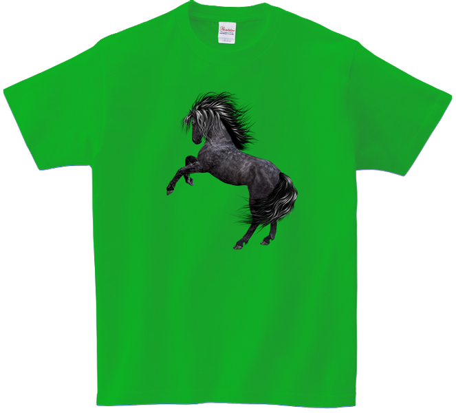 Koszulka T-shirt Konie zdjęcie 1