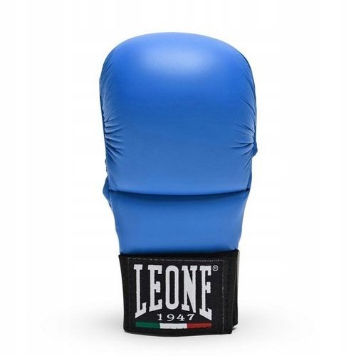 Rękawice Leone 245-4 10 oz na Arena.pl