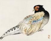 Plakat 50x40cm Peregrine Falcon, Kōno Bairei Japoński Vintage do Salonu