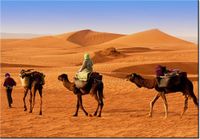 100 70CM OBRAZ PŁÓTNO PODRÓŻ PO PUSTYNI PŁÓTNO RAMA